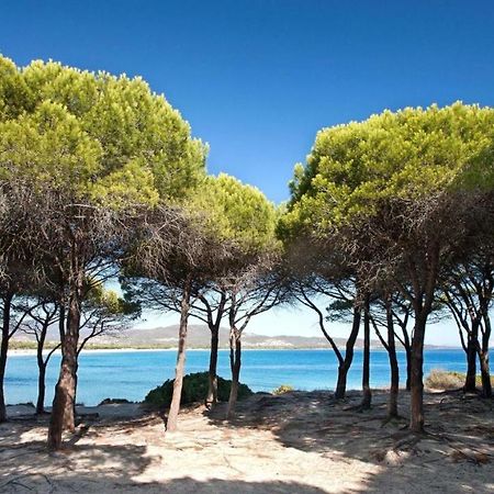 B&B La Quercia Budoni, Tanaunella Εξωτερικό φωτογραφία
